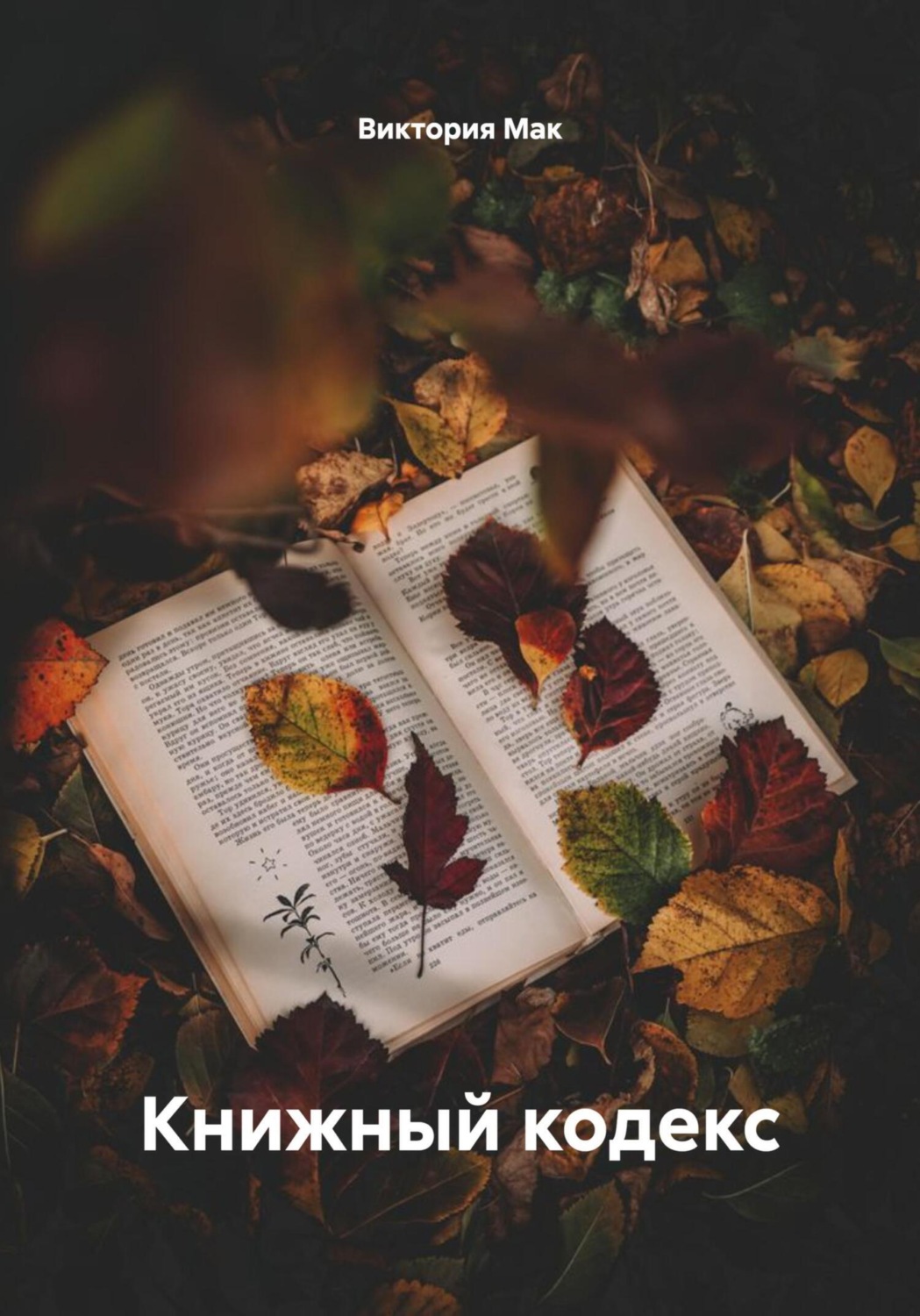 Обложка книги «Книжный кодекс»