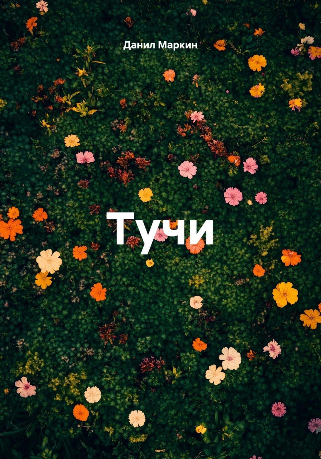 Обложка книги «Тучи»