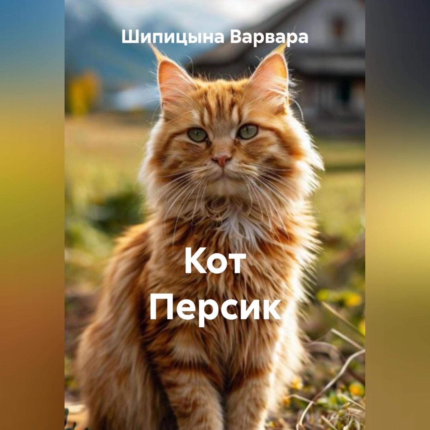 Обложка книги «Кот Персик»