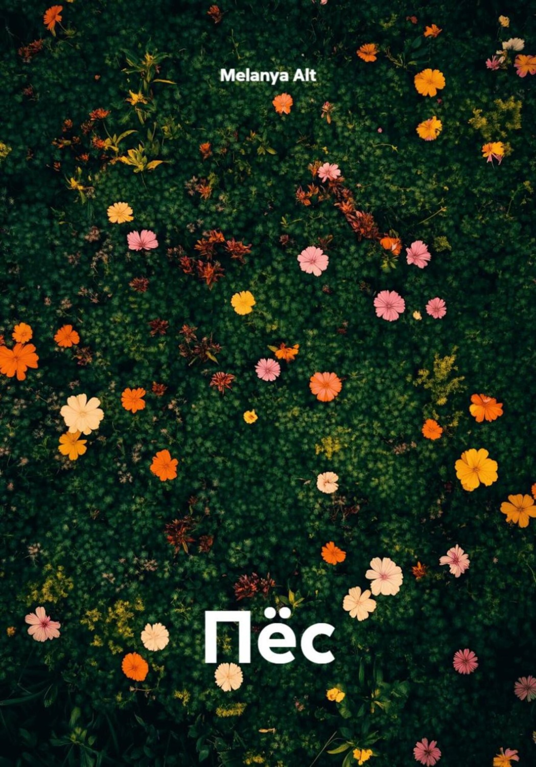 Обложка книги «Пёс»