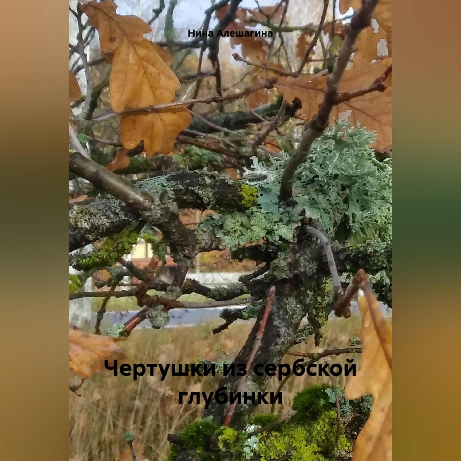 Обложка книги «Чертушки из сербской глубинки»