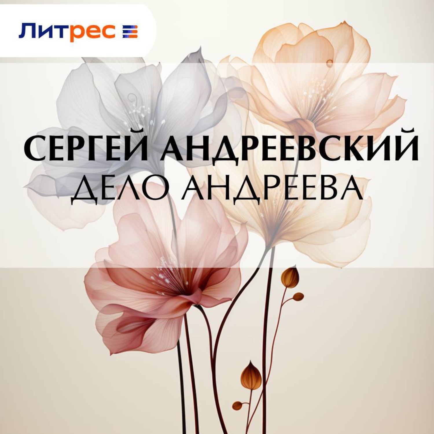 Обложка книги «Дело Андреева»