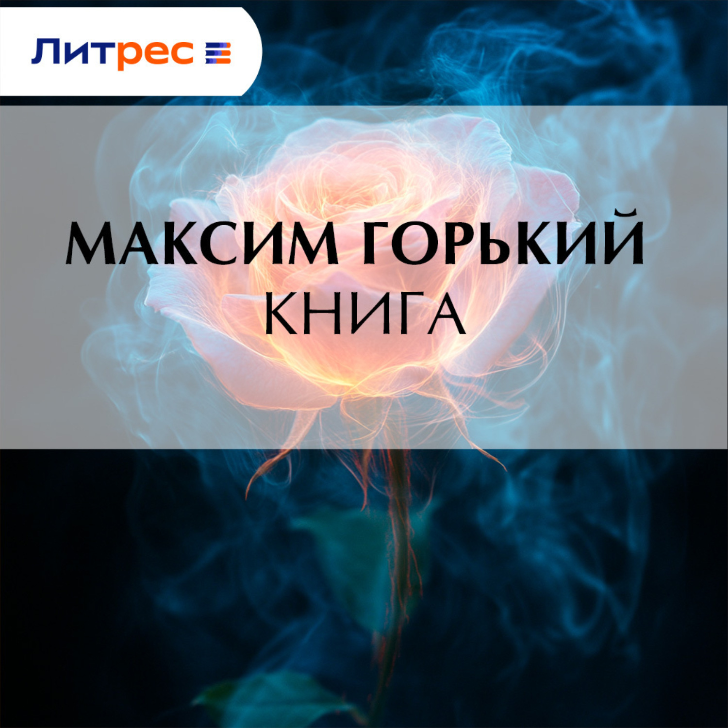 Обложка книги «Книга»