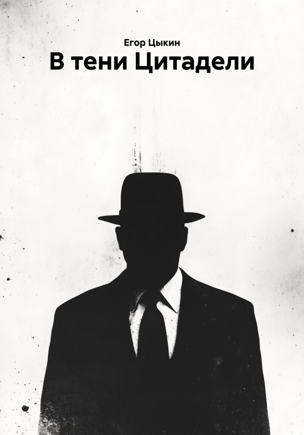 Обложка книги «В тени Цитадели»