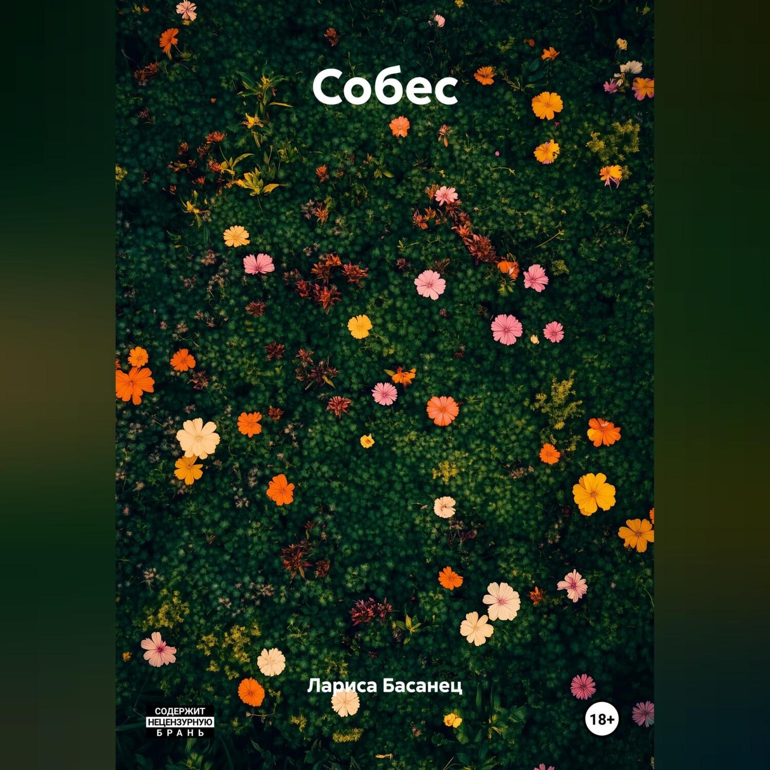 Обложка книги «Собес»