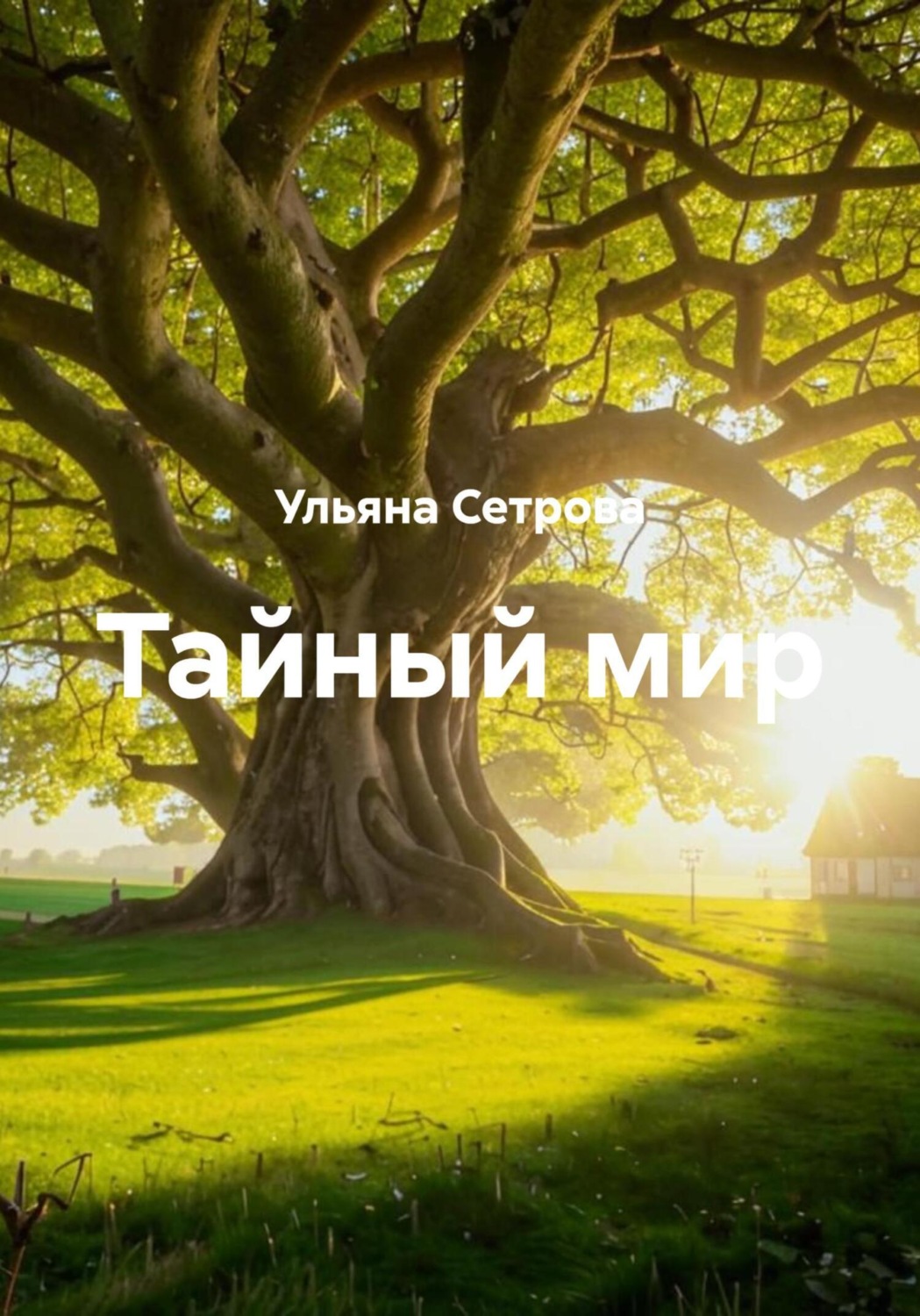 Обложка книги «Тайный мир»