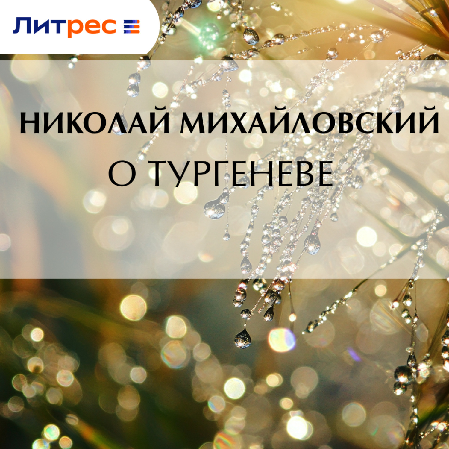 Обложка книги «О Тургеневе»