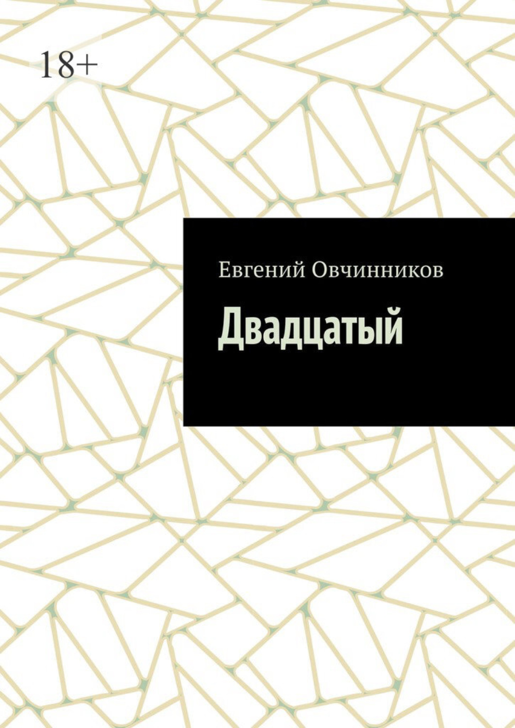 Обложка книги «Двадцатый»