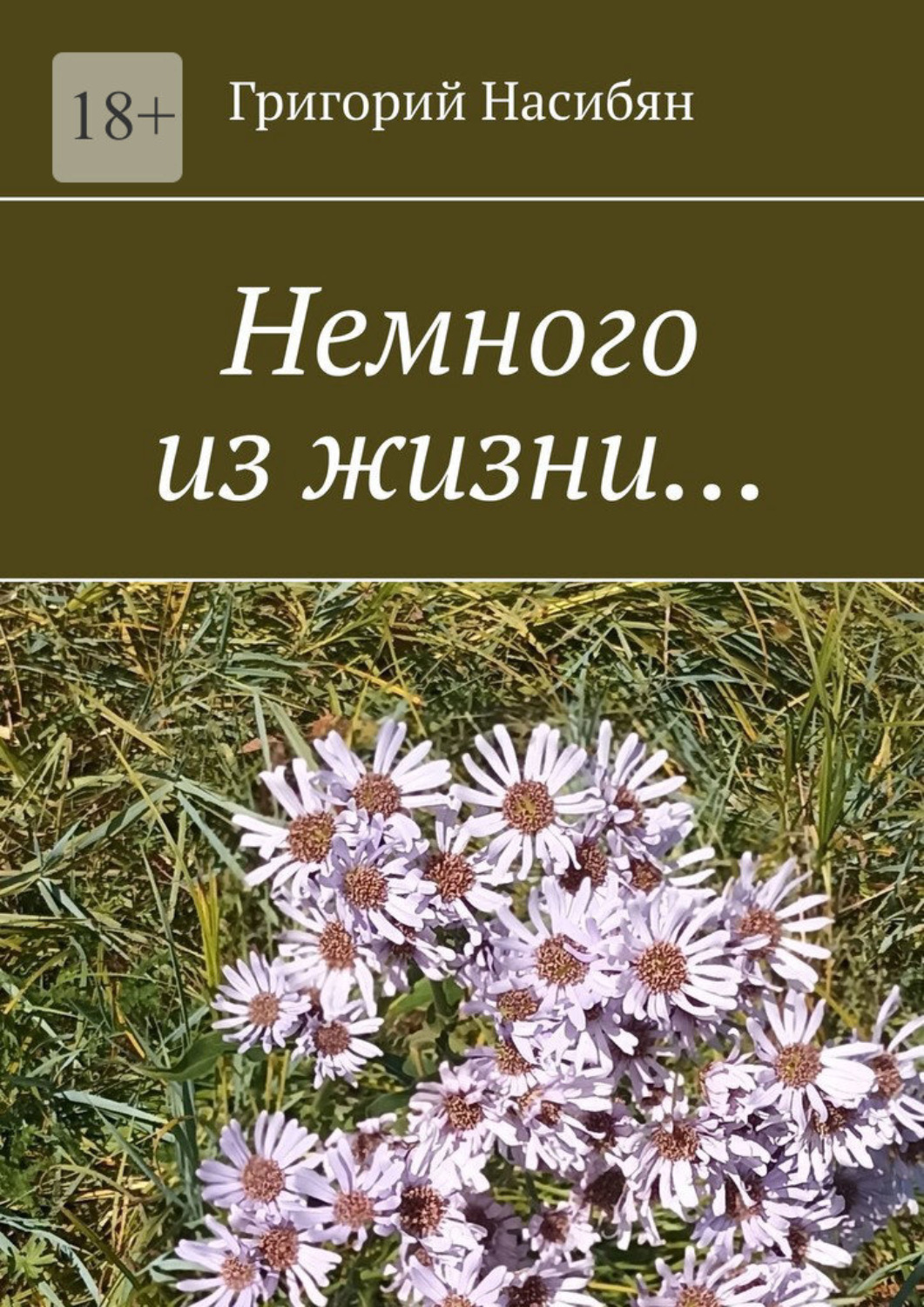 Обложка книги «Немного из жизни…»