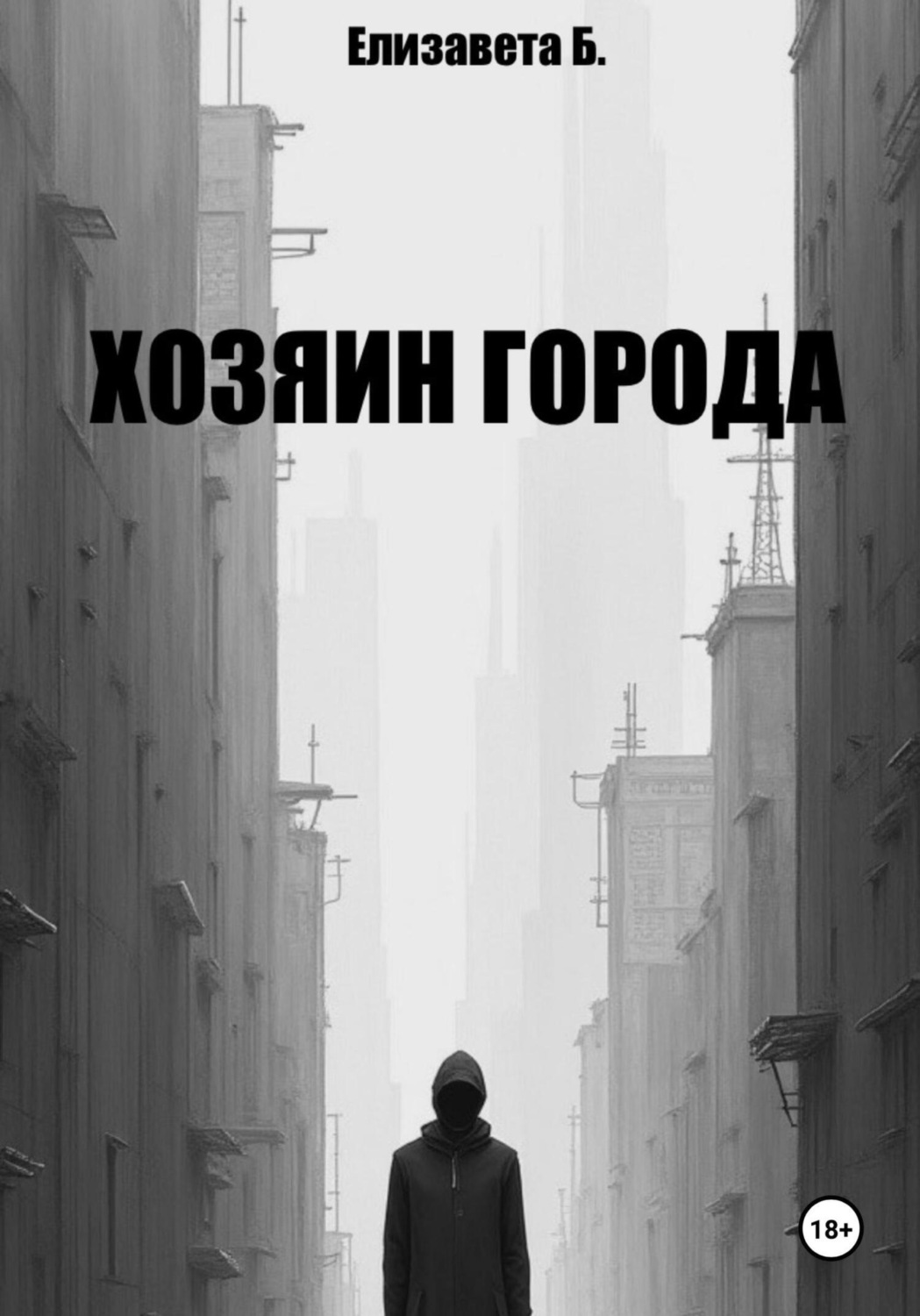 Обложка книги «Хозяин города»