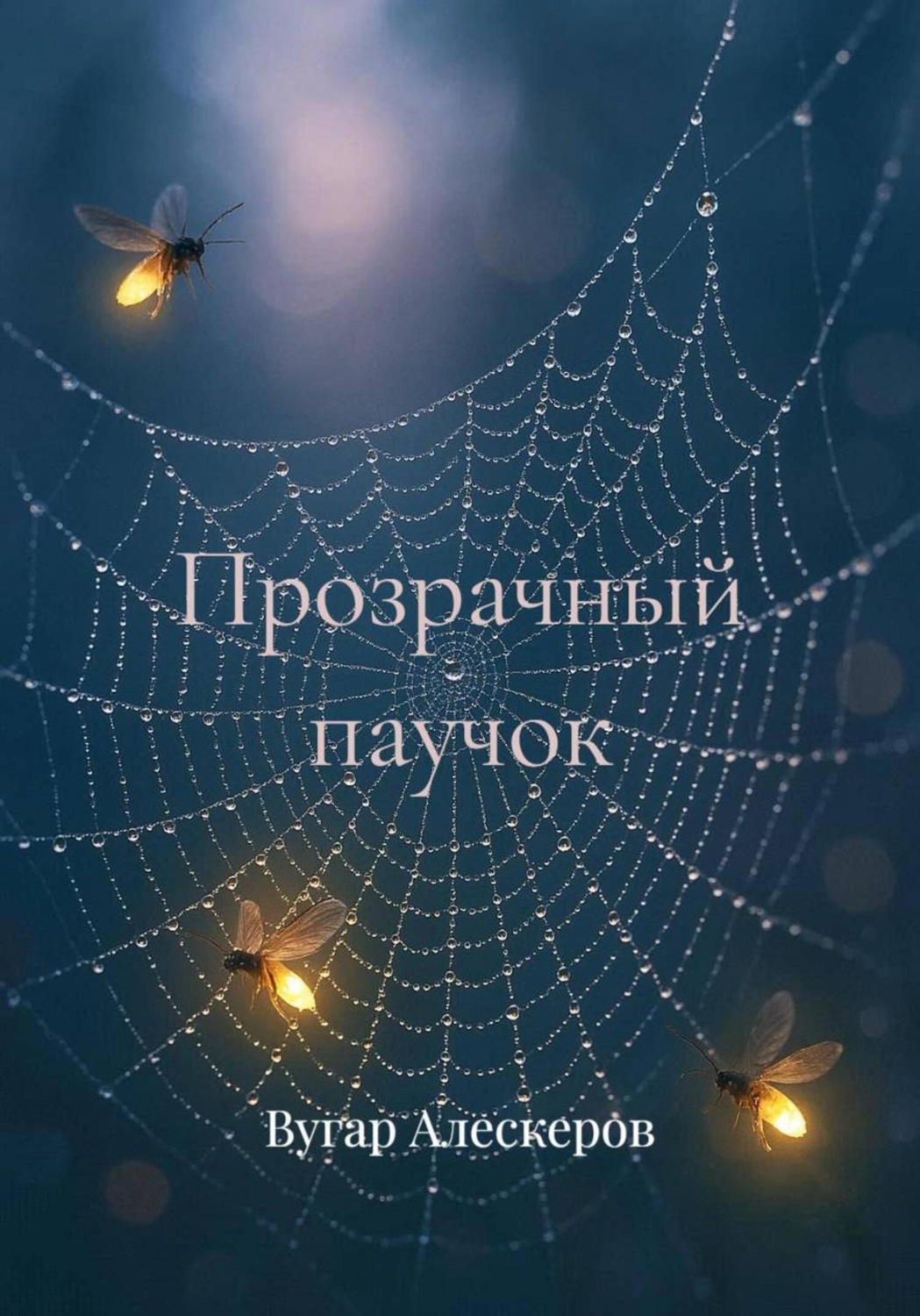 Обложка книги «Прозрачный паучок»