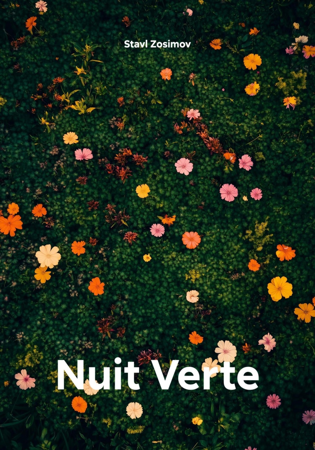 Обложка книги «Nuit Verte»