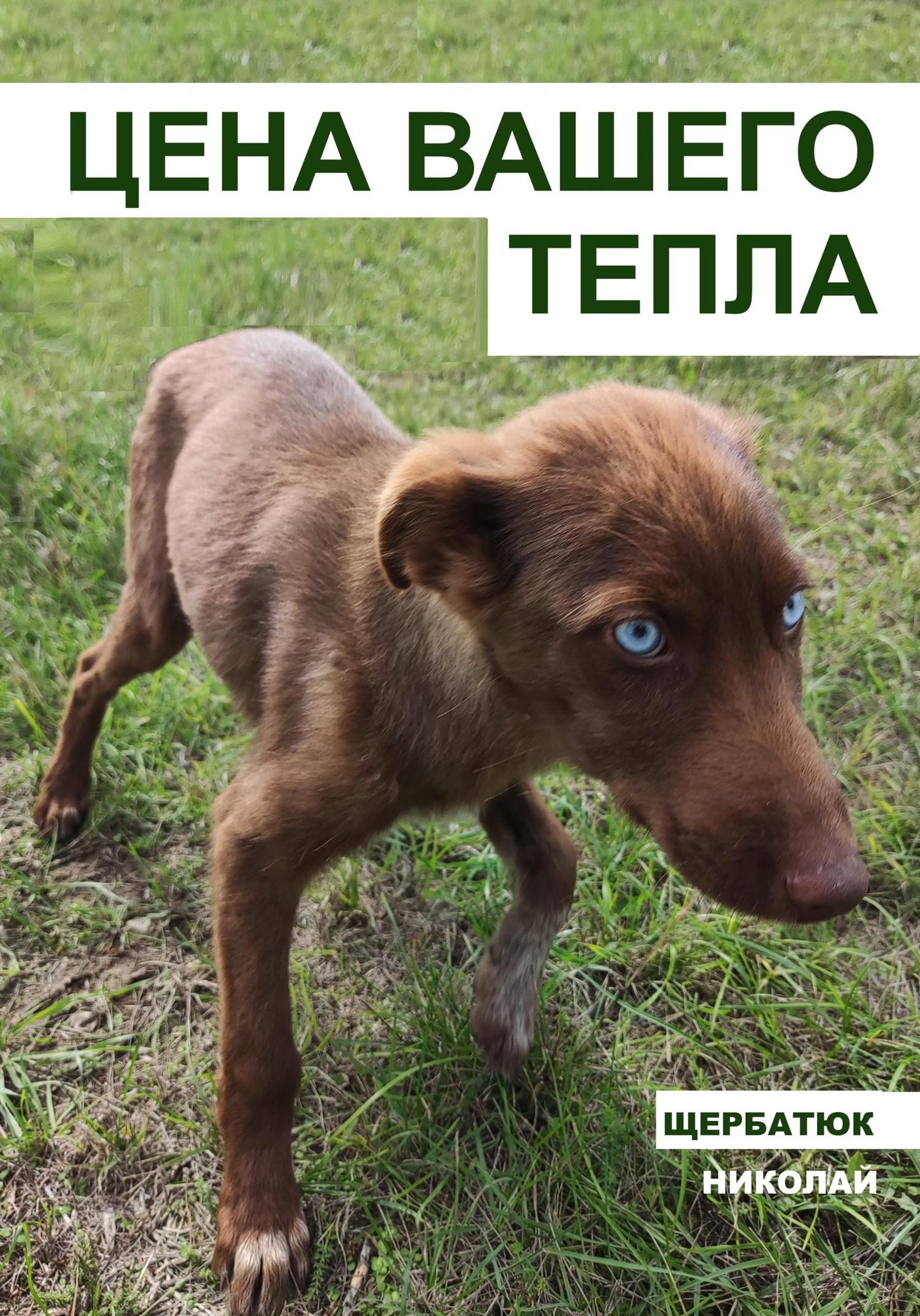 Обложка книги «Цена вашего тепла»