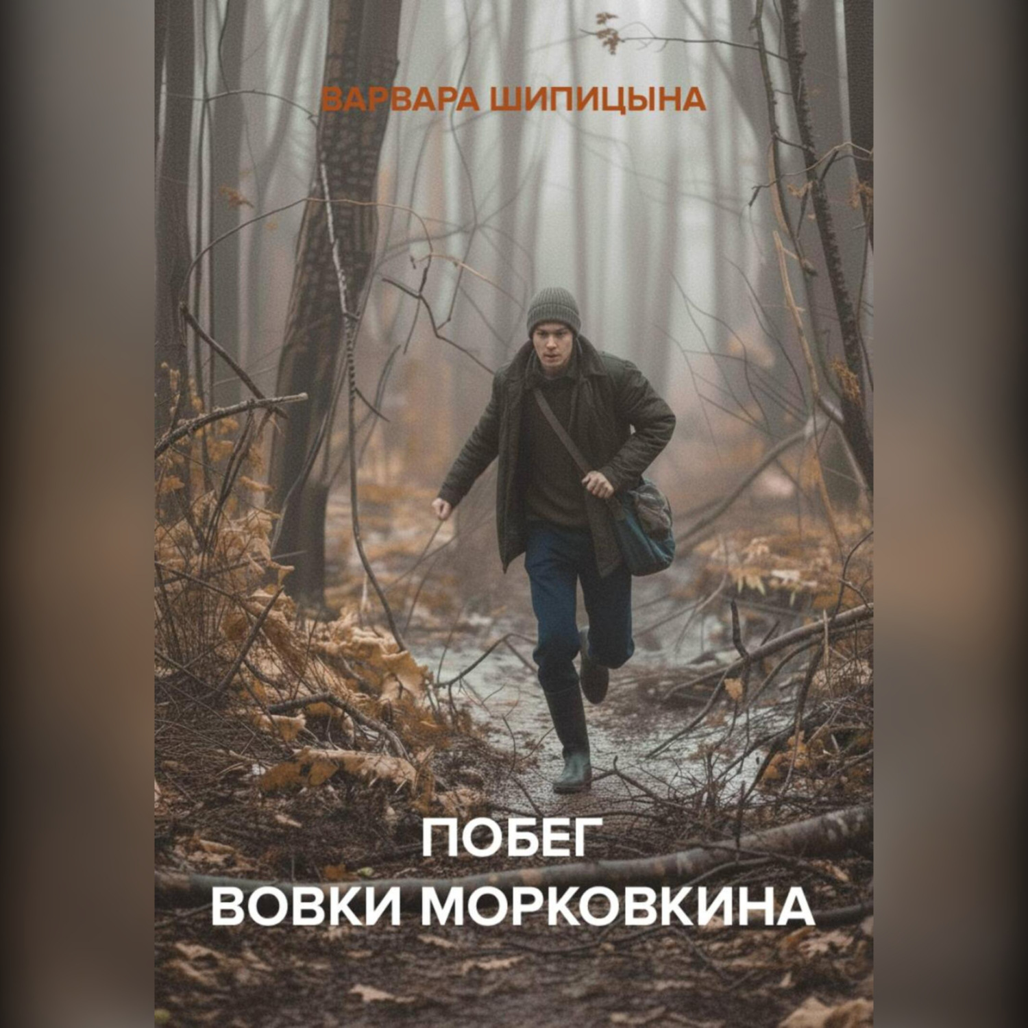 Обложка книги «Побег Вовки Морковкина»