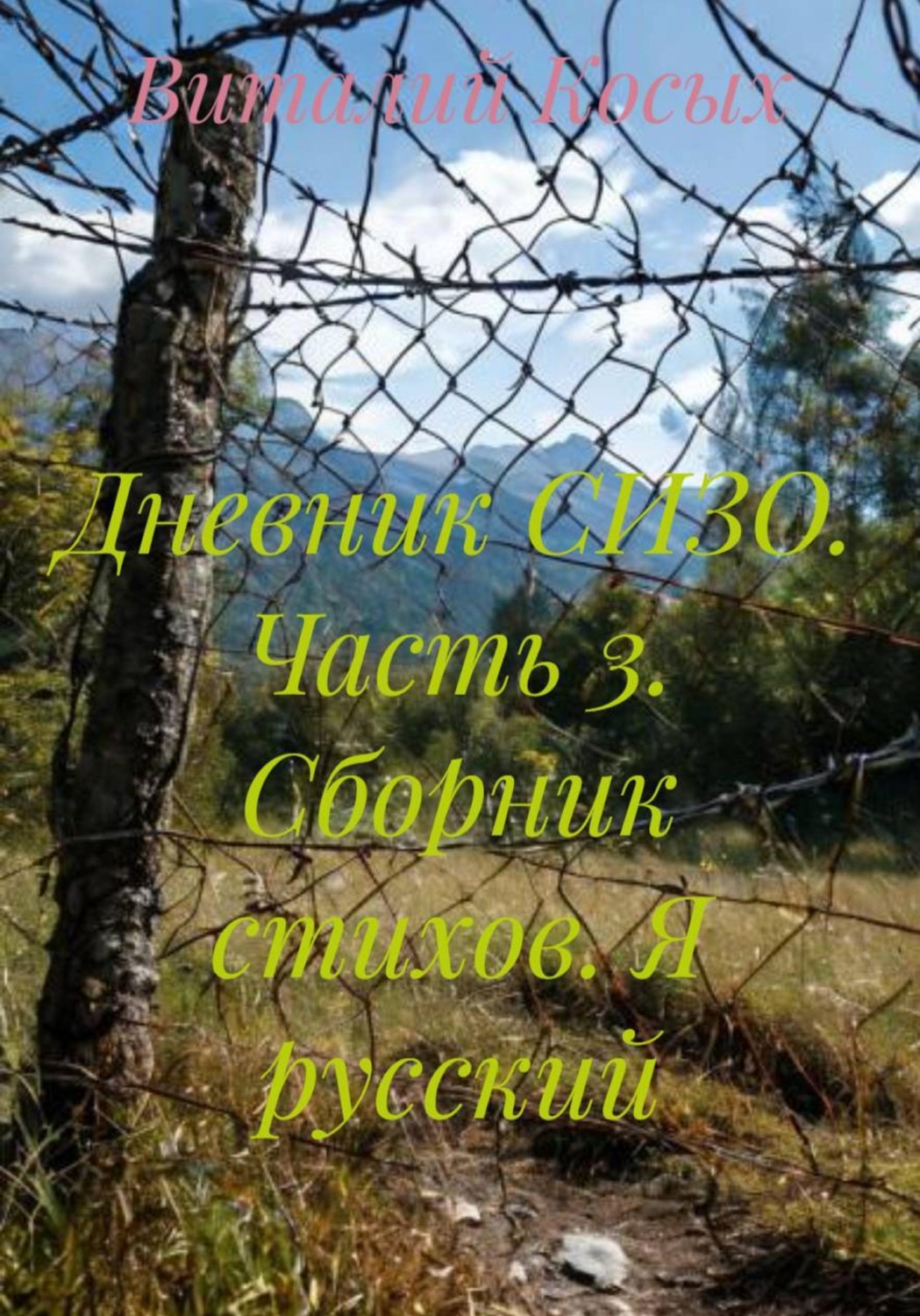 Обложка книги «Дневник СИЗО. Часть 3. Сборник стихов. Я русский»