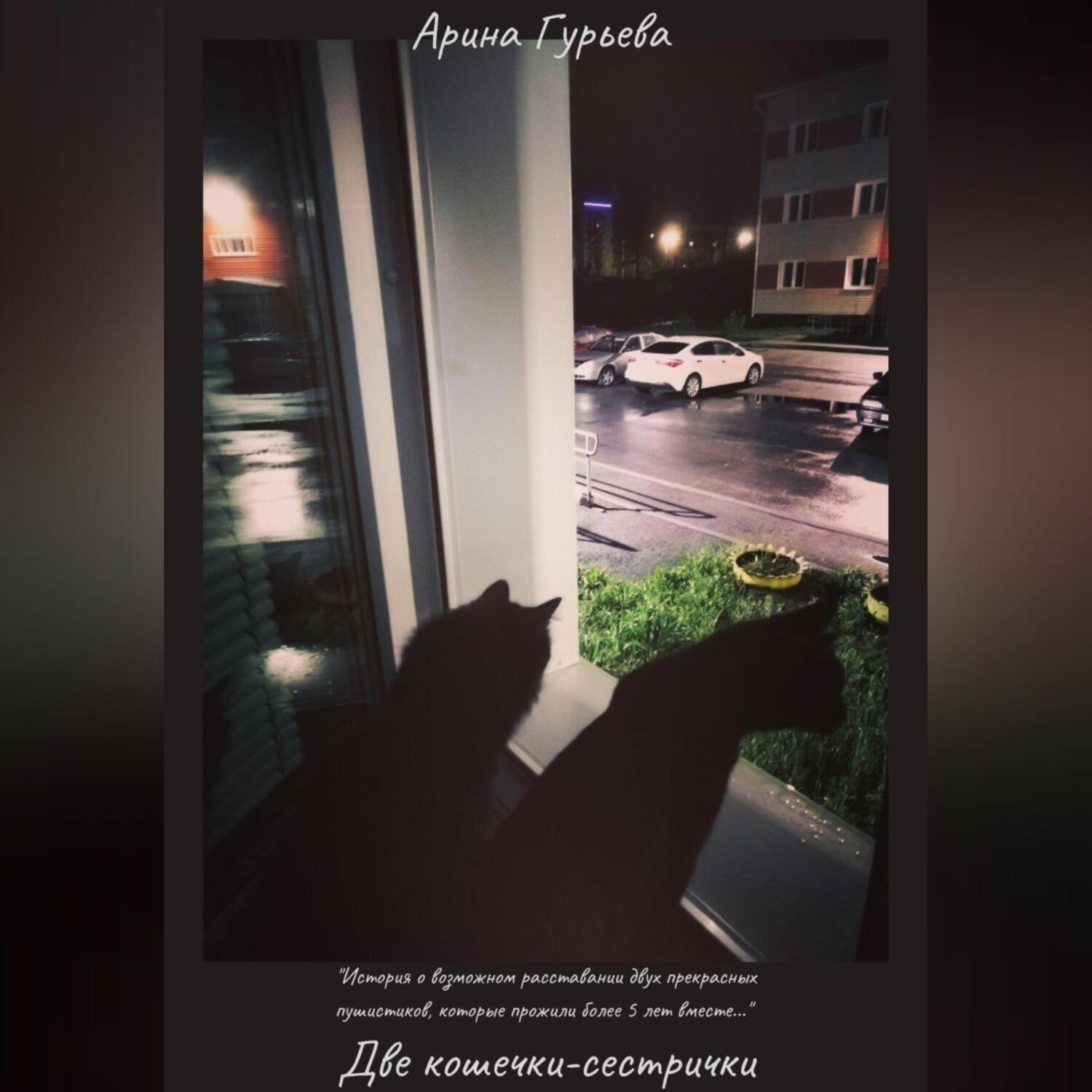 Обложка книги «Две кошечки-сестрички»
