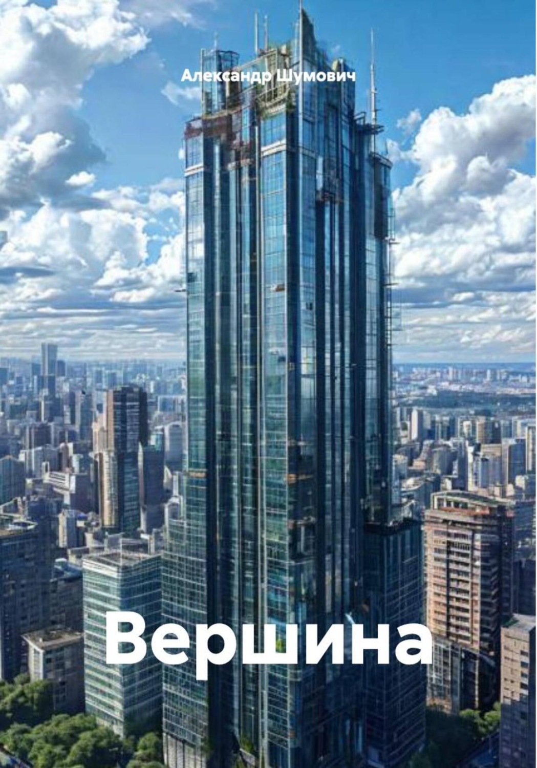 Обложка книги «Вершина»