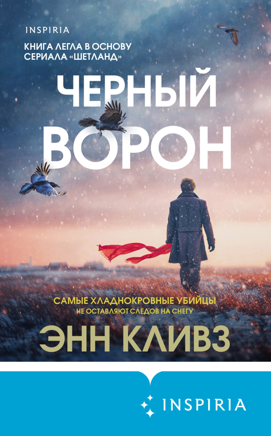 Обложка книги «Черный ворон»