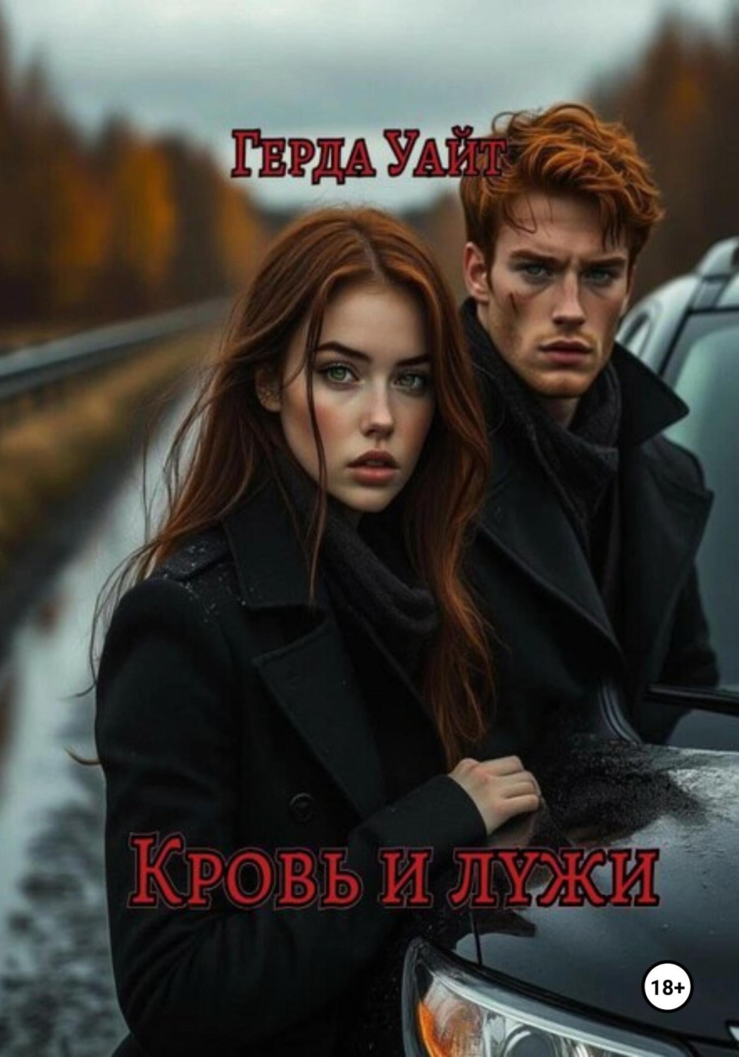 Обложка книги «Кровь и лужи»