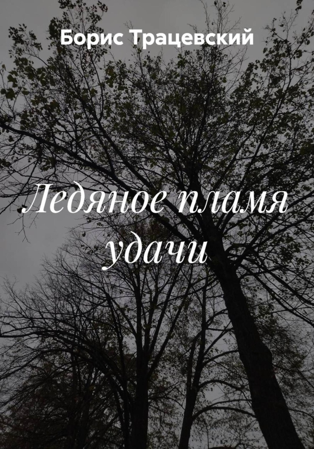 Обложка книги «Ледяное пламя удачи»