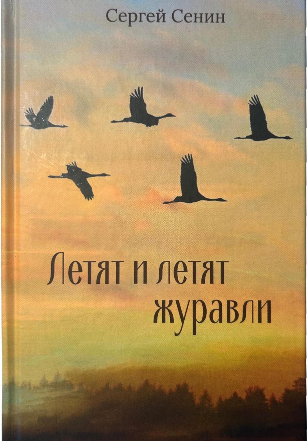 Обложка книги «Летят и летят журавли»