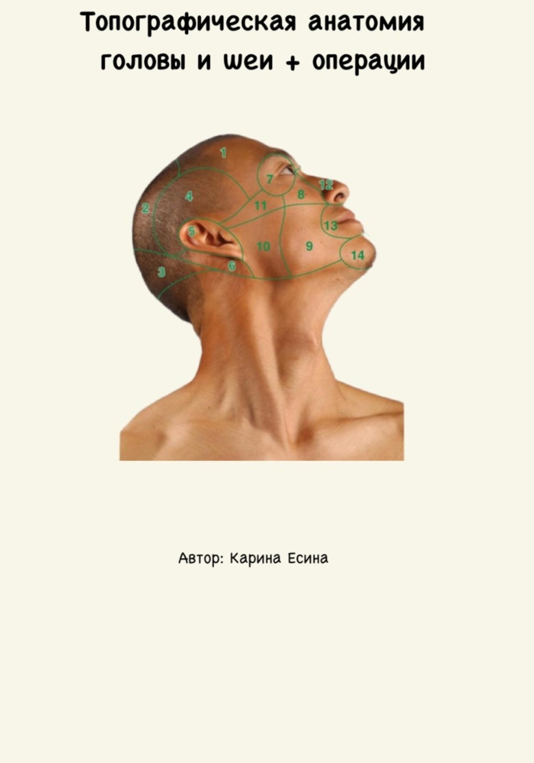 Обложка книги «Топографическая анатомия головы и шеи»