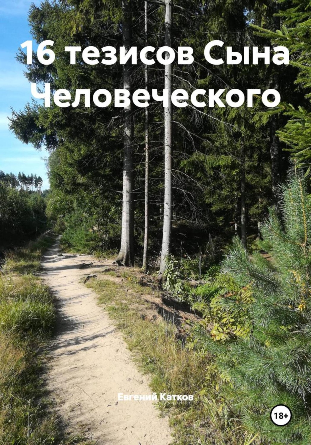 Обложка книги «16 тезисов Сына Человеческого»