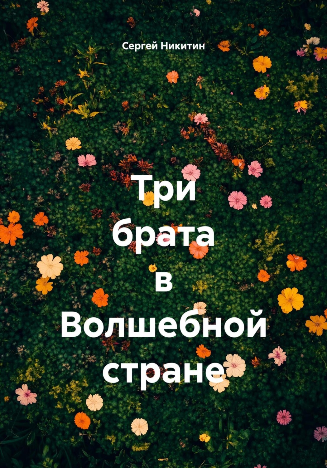 Обложка книги «Три брата в Волшебной стране»