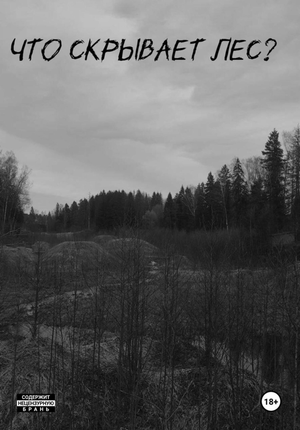 Обложка книги «Что скрывает лес?»