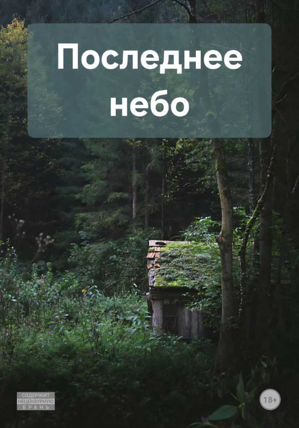 Обложка книги «Последнее небо»