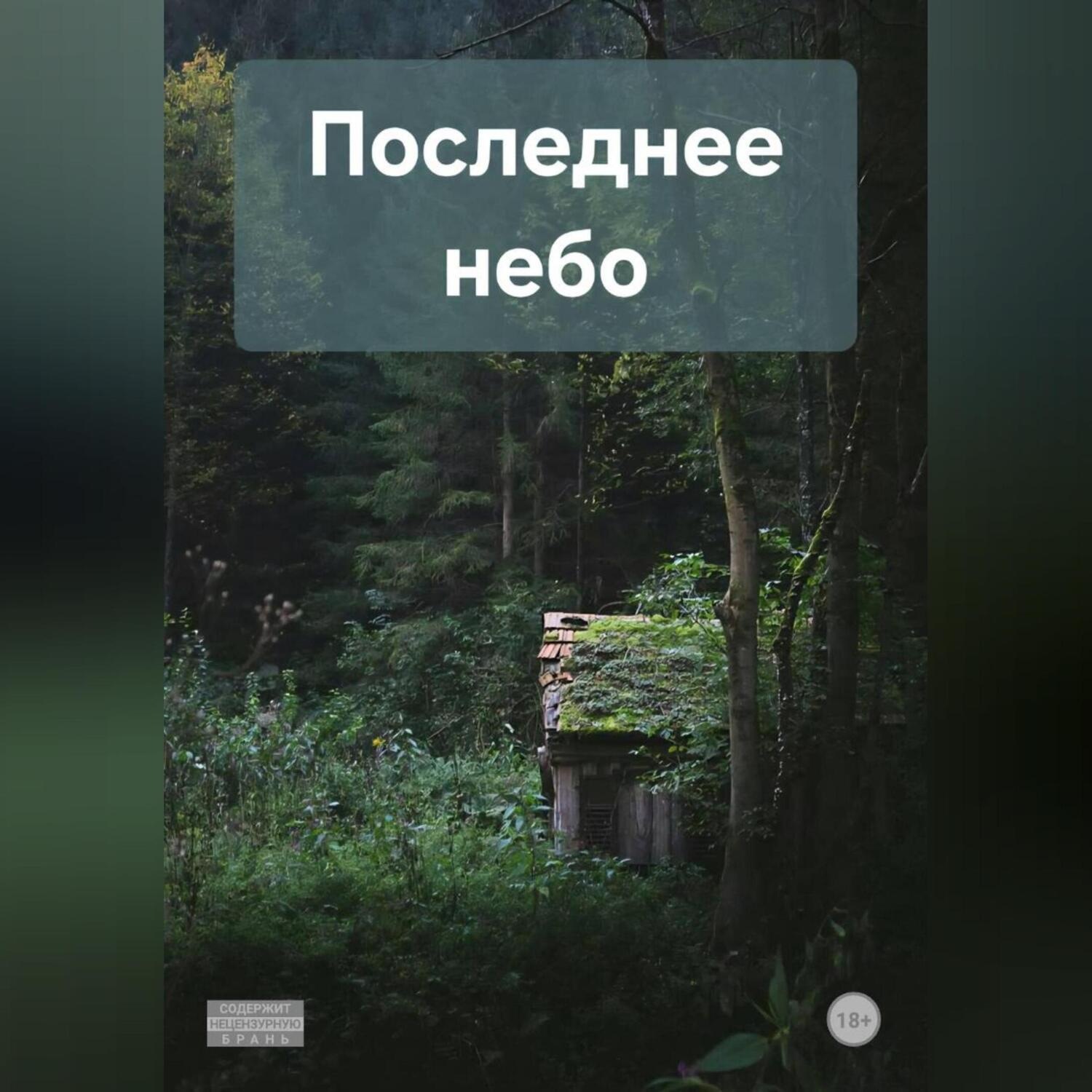 Обложка книги «Последнее небо»