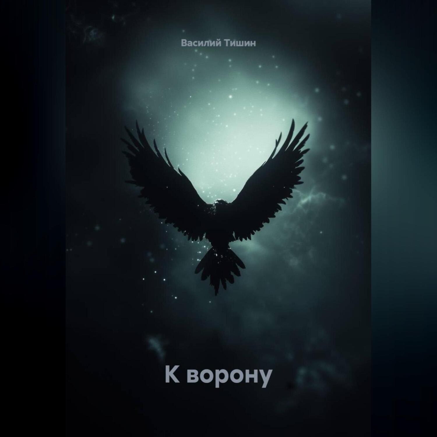 Обложка книги «К ворону.»