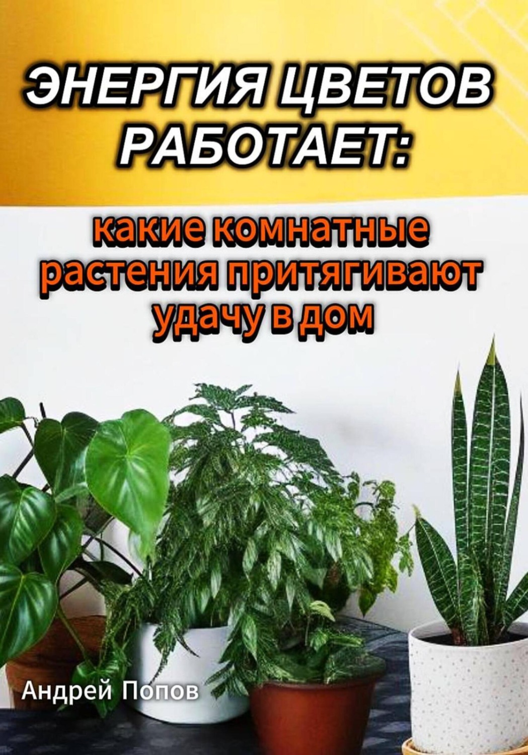 Обложка книги «Энергия цветов работает: какие комнатные растения притягивают удачу в дом»