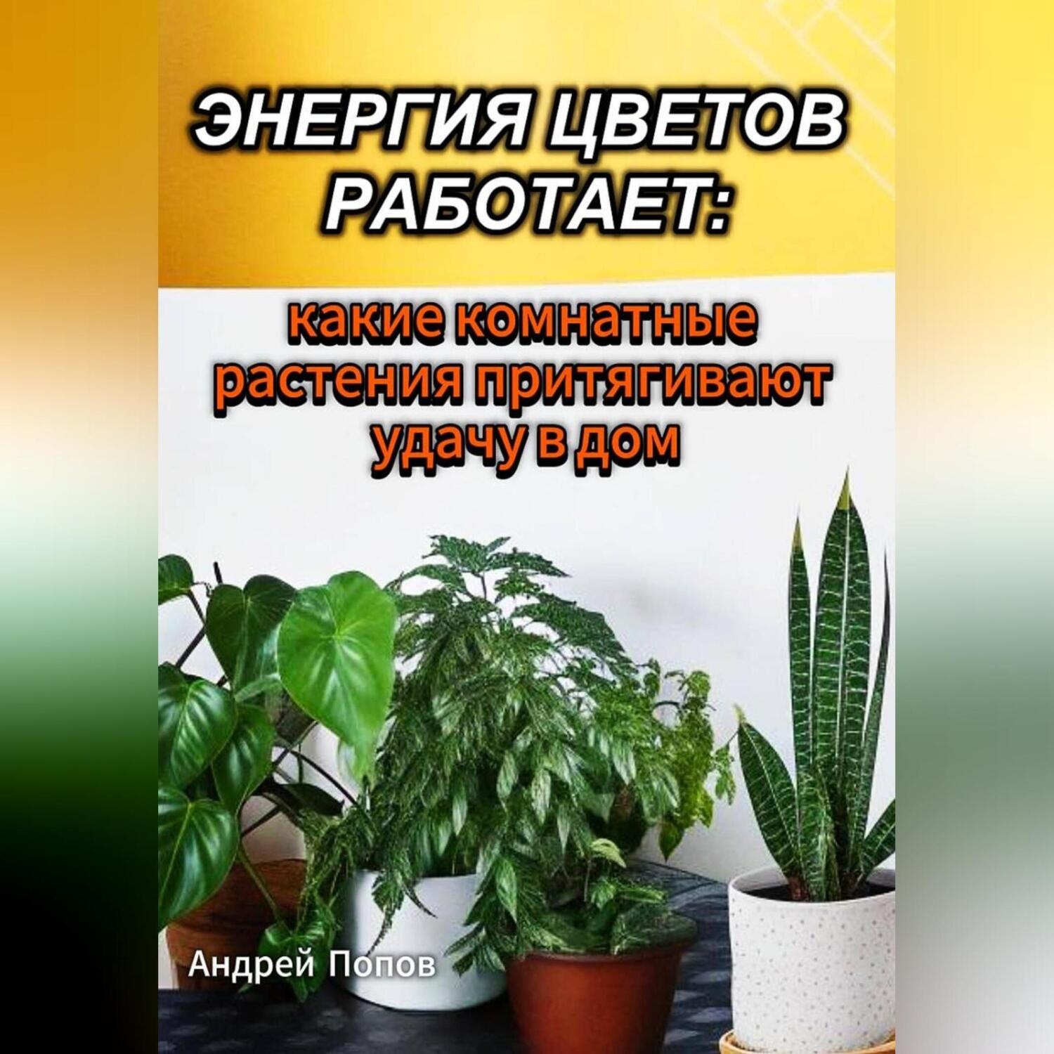 Обложка книги «Энергия цветов работает: какие комнатные растения притягивают удачу в дом»