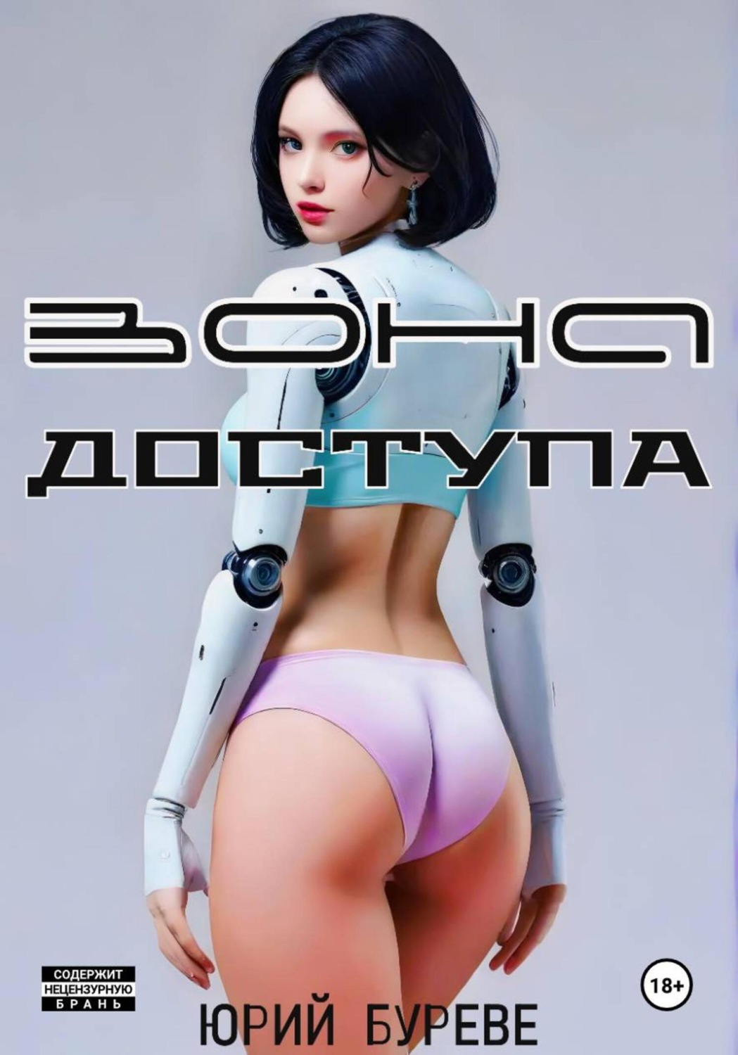 Обложка книги «Зона доступа»
