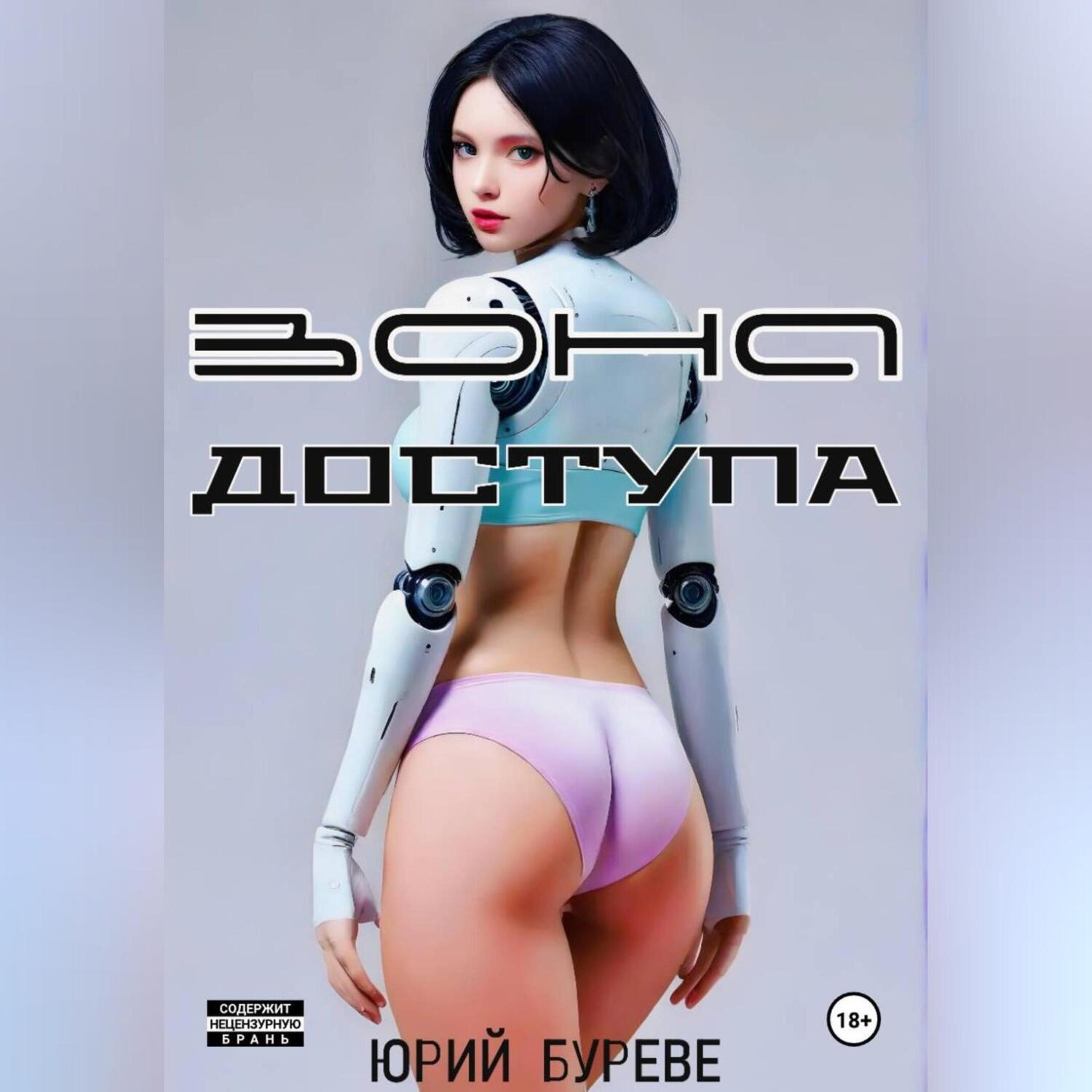 Обложка книги «Зона доступа»