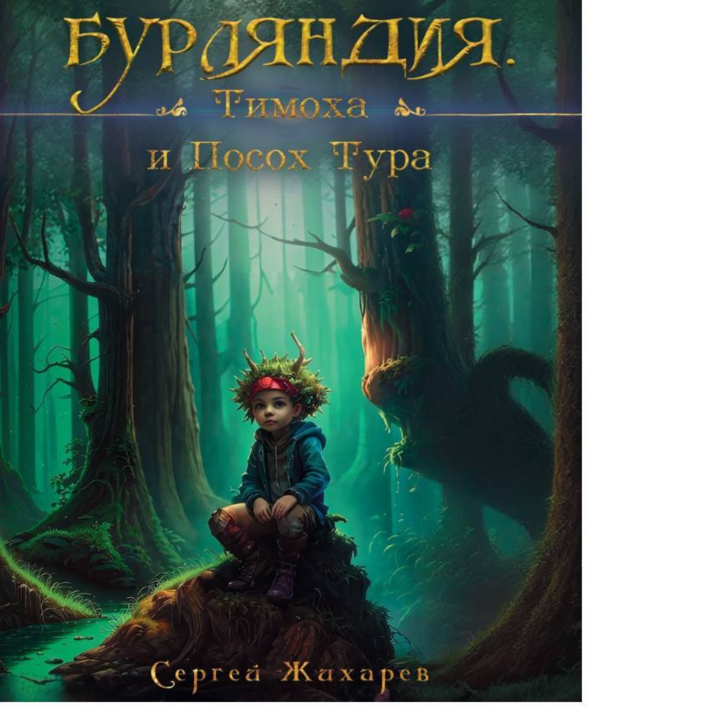 Обложка книги «Бурляндия. Тимоха и Посох Тура»