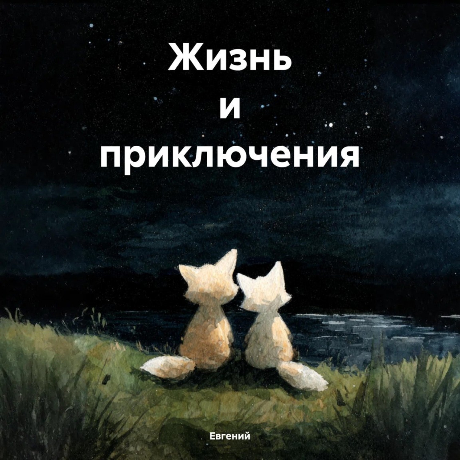 Обложка книги «Жизнь и приключения»