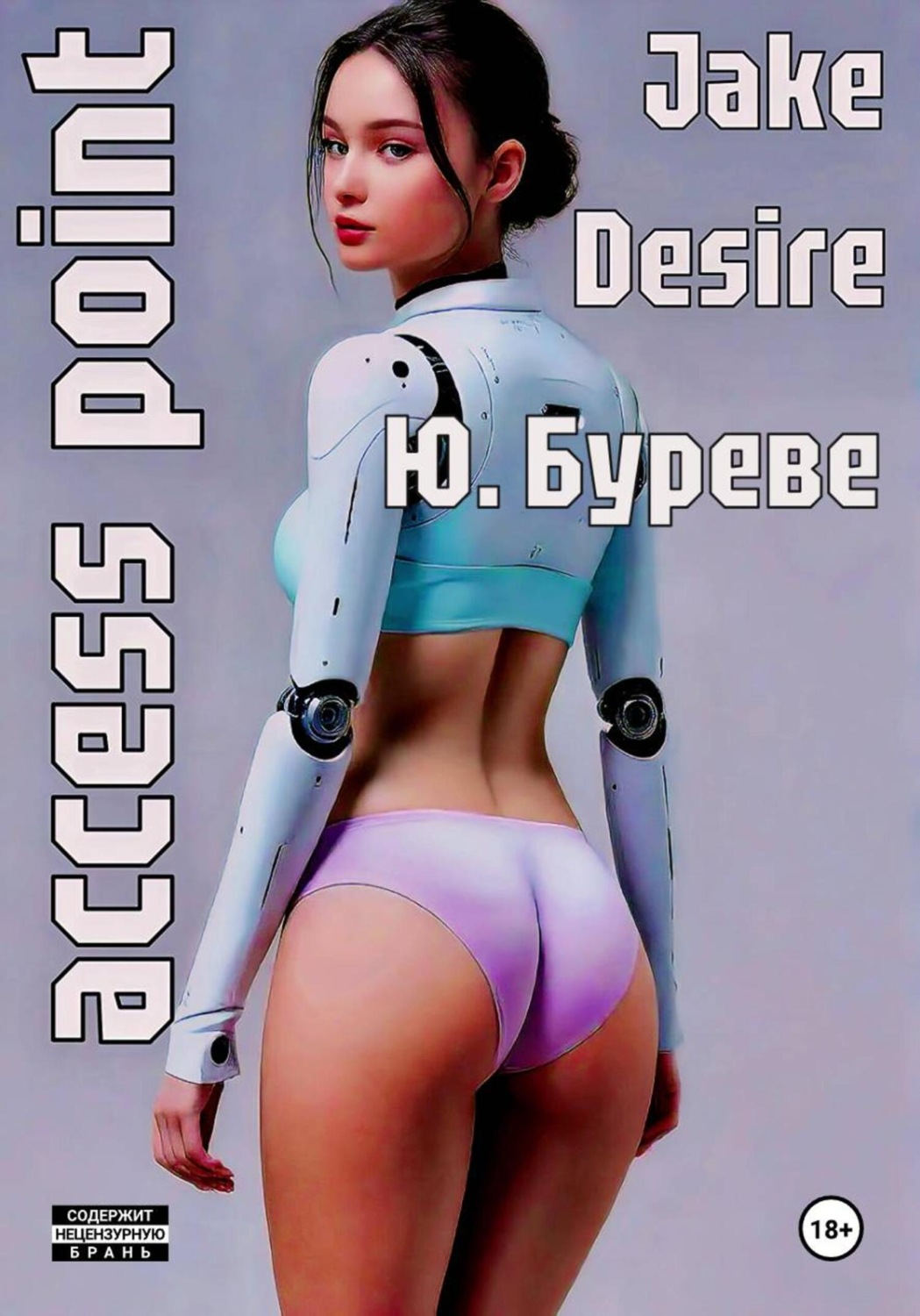 Обложка книги «Access point»