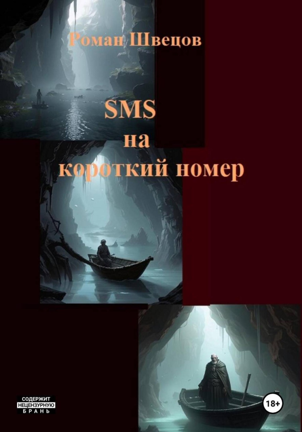 Обложка книги «SMS на короткий номер»