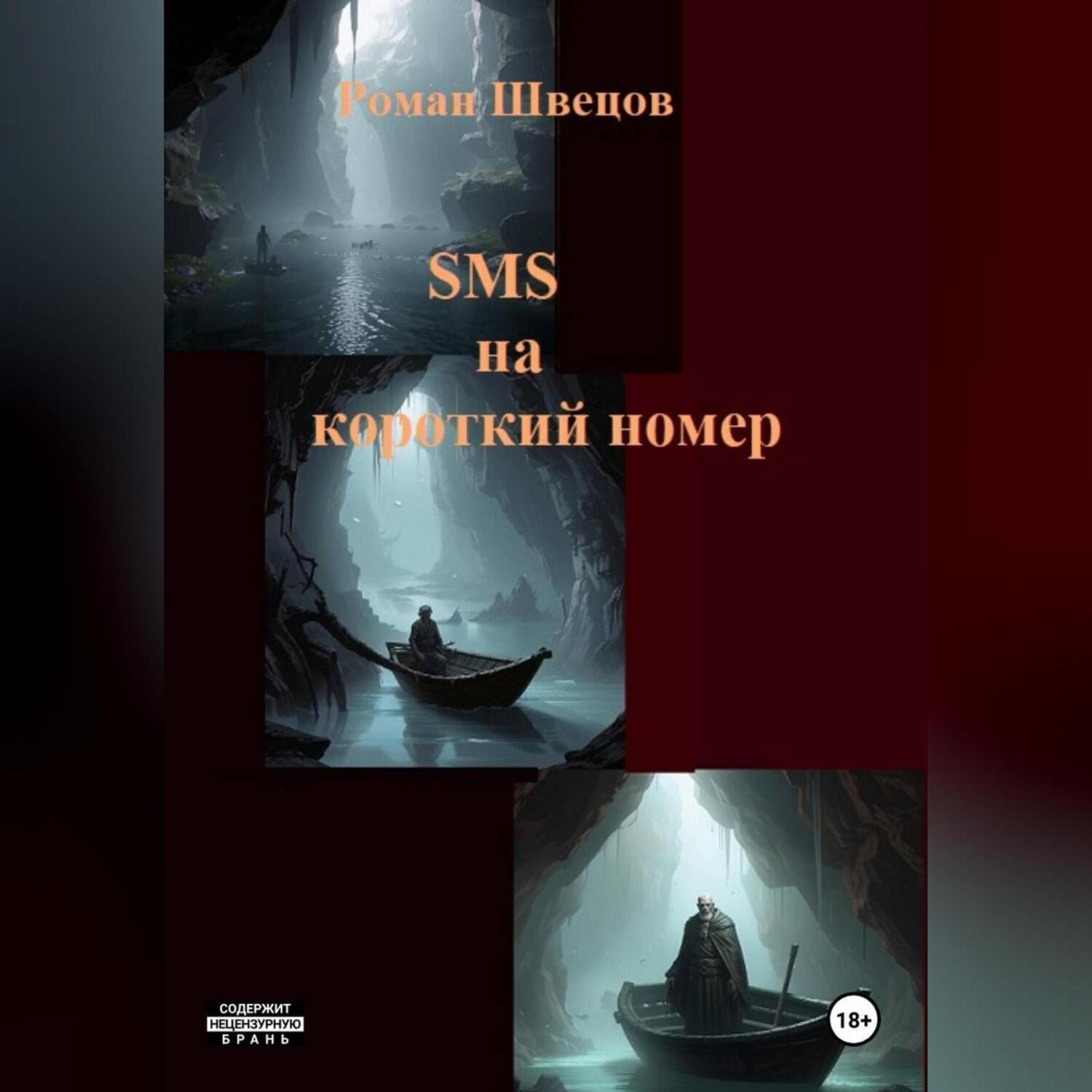Обложка книги «SMS на короткий номер»