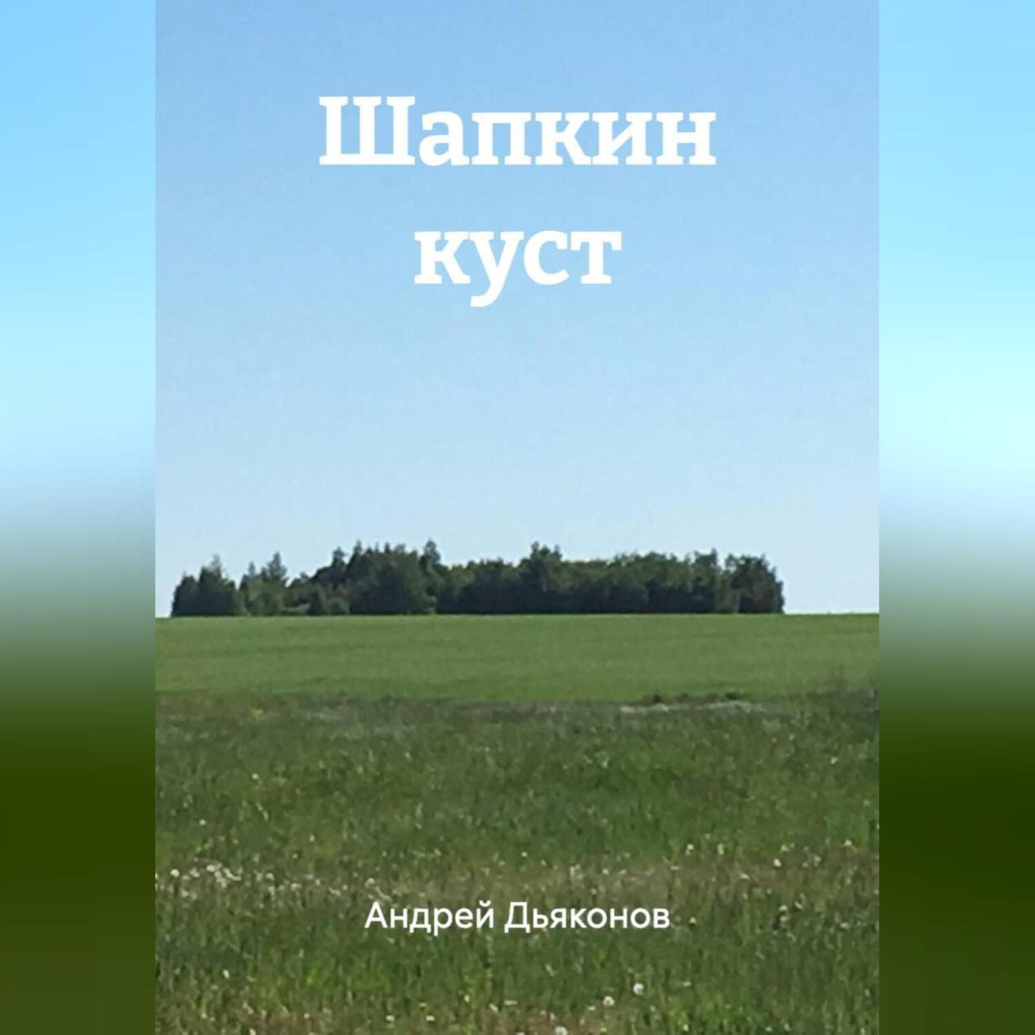 Обложка книги «Шапкин куст»