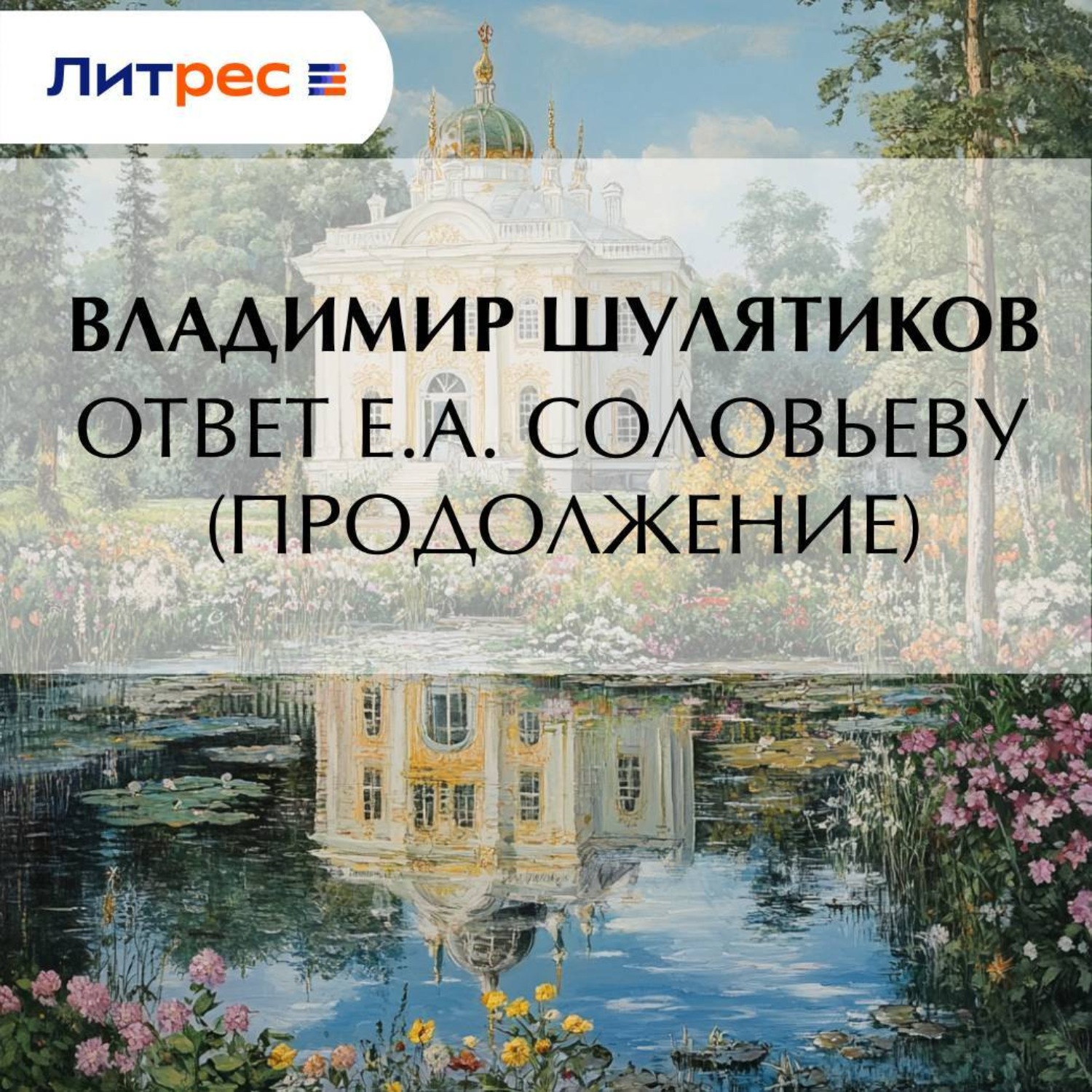 Обложка книги «Ответ Е.А. Соловьеву (продолжение)»