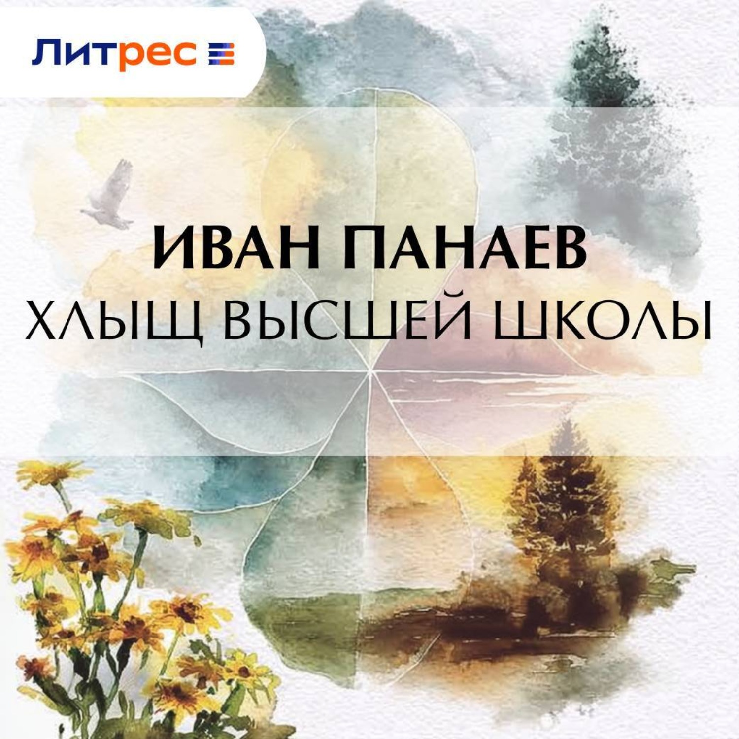 Обложка книги «Хлыщ высшей школы»