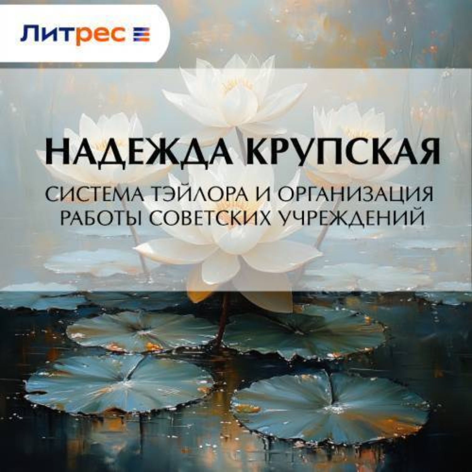 Обложка книги «Система Тэйлора и организация работы советских учреждений»