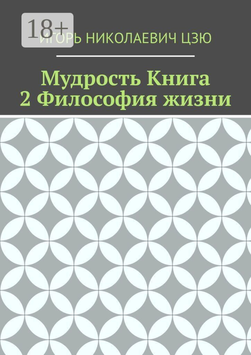 Обложка книги «Мудрость. Книга 2. Философия жизни»