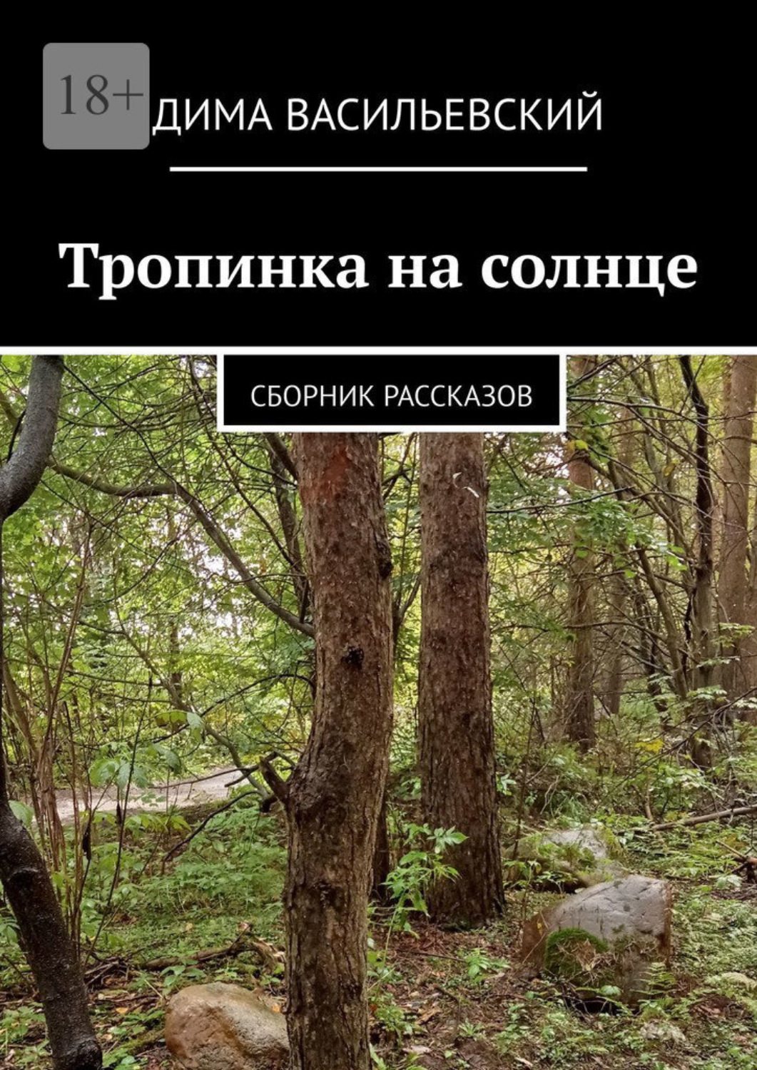 Обложка книги «Тропинка на солнце. Сборник рассказов»