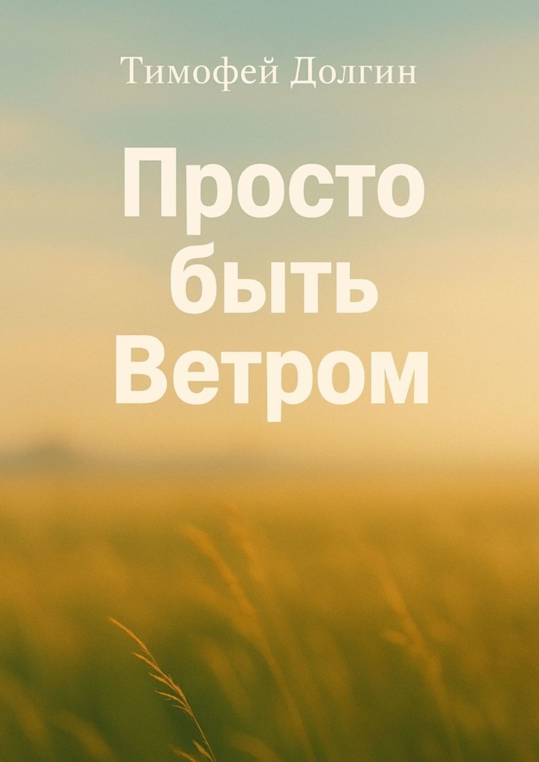 Обложка книги «Просто быть Ветром»