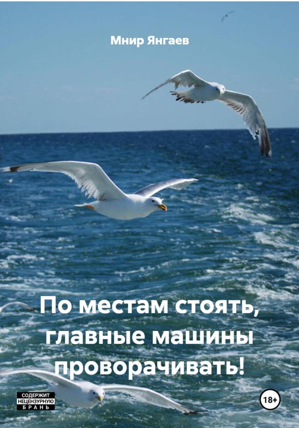 Обложка книги «По местам стоять, главные машины проворачивать!»