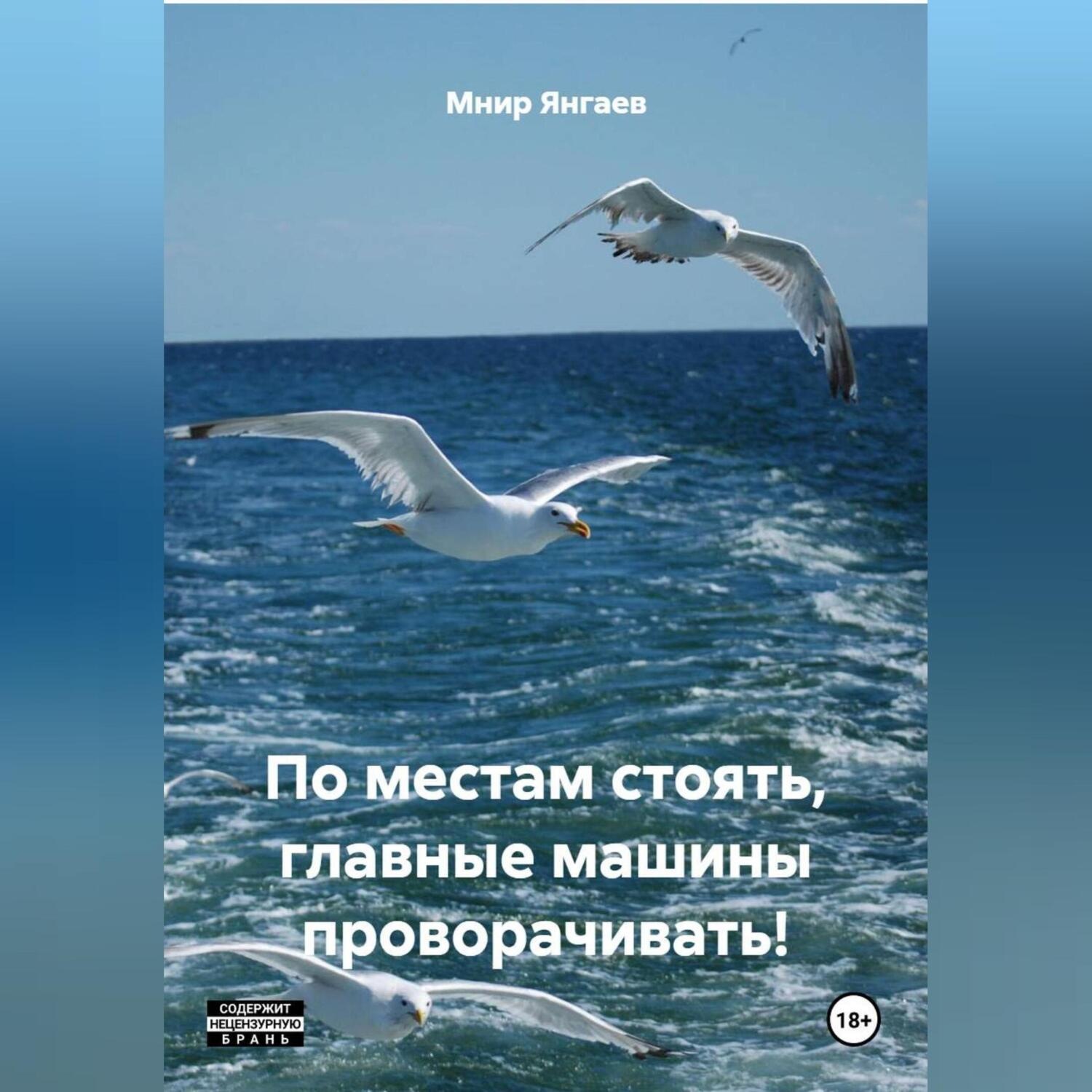 Обложка книги «ПО МЕСТАМ СТОЯТЬ, ГЛАВНЫЕ МАШИНЫ ПРОВОРАЧИВАТЬ!»